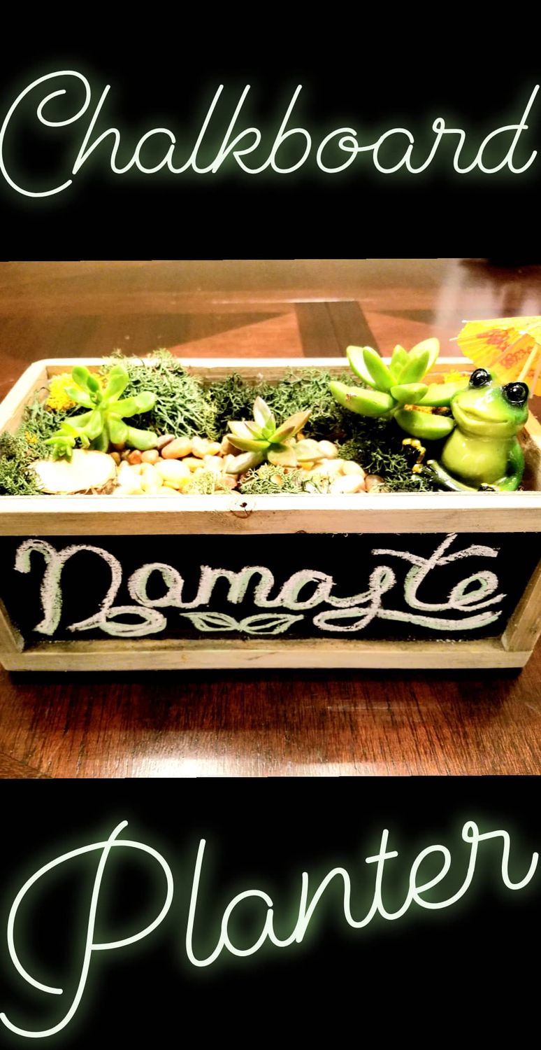 07/31/25 - Tacos & Succulents at Fuzzy's - Irving! 6:30 p.m.