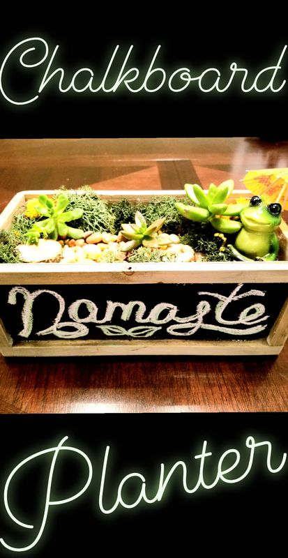 07/31/25 - Tacos & Succulents at Fuzzy's - Irving! 6:30 p.m.