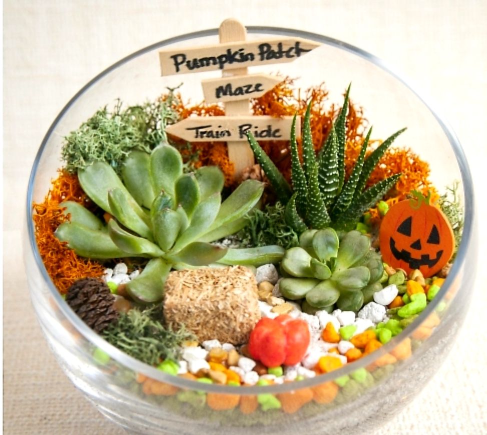 10/26/2025 - 2 p.m. Fall/Halloween Terrarium at Fortunata Winery!