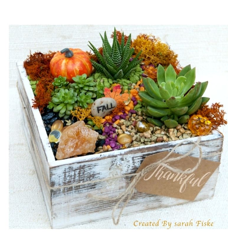 10/26/2025 - 2 p.m. Fall/Halloween Terrarium at Fortunata Winery!