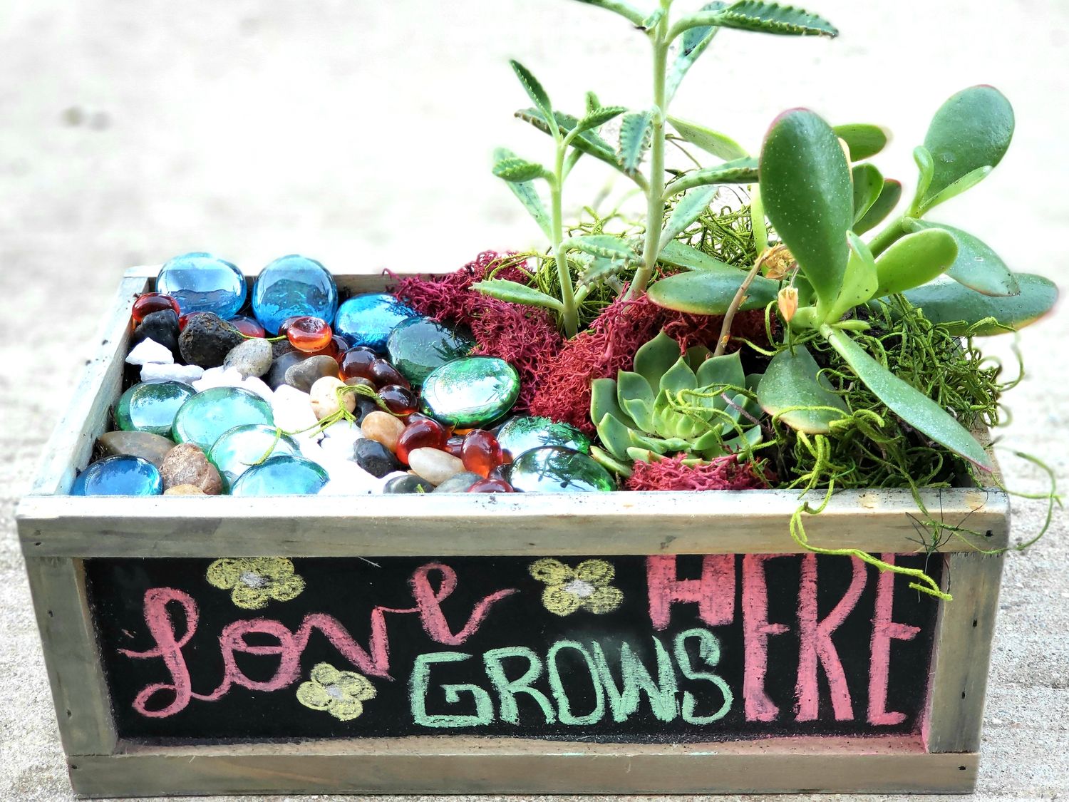07/31/25 - 6:30 p.m.  Tacos & Succulents at Fuzzy's Tacos - Irving ! ***KIDS PRICE***