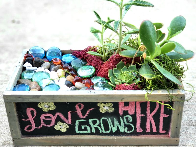 07/31/25 - 6:30 p.m.  Tacos & Succulents at Fuzzy's Tacos - Irving ! ***KIDS PRICE***