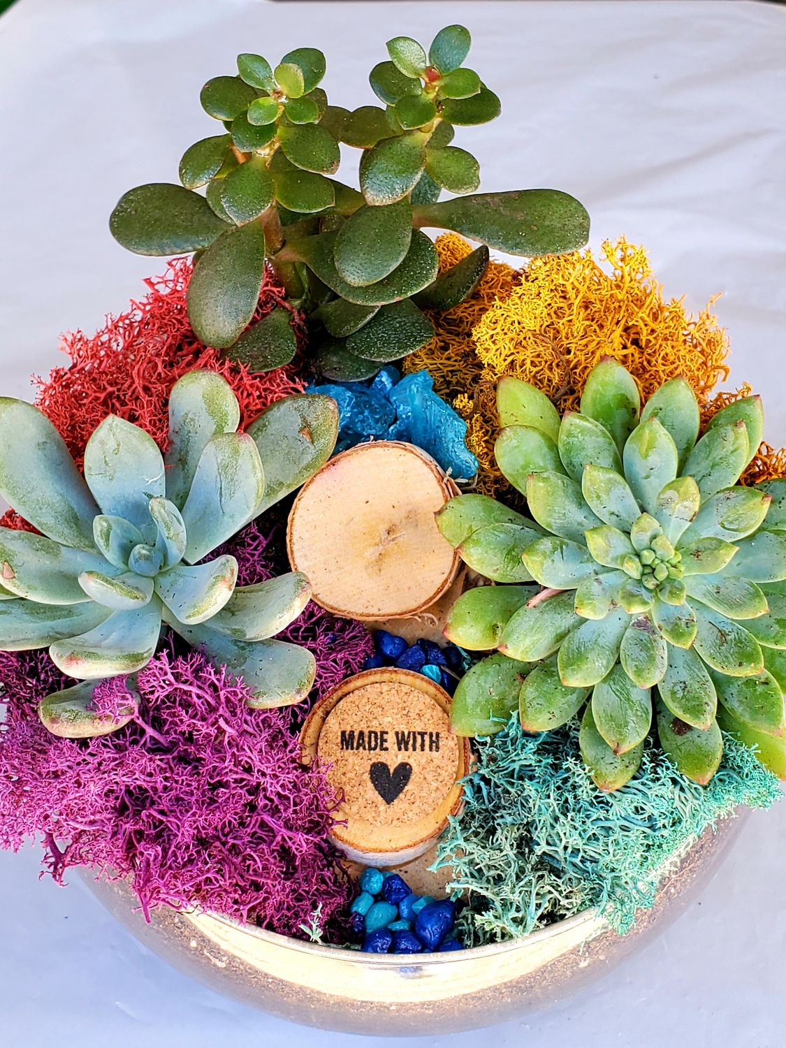 07/20/2025 Succulent Terrarium Fun at Tande Thai - The Colony, TX - 3 p.m.!
