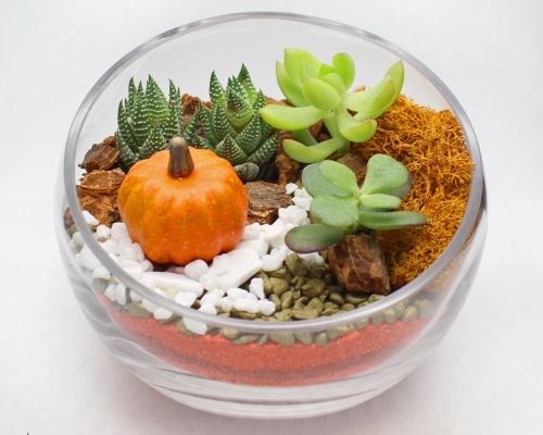 10/05/2025 Fall Terrarium Fun at Tande Thai - The Colony, TX - 3 p.m.!