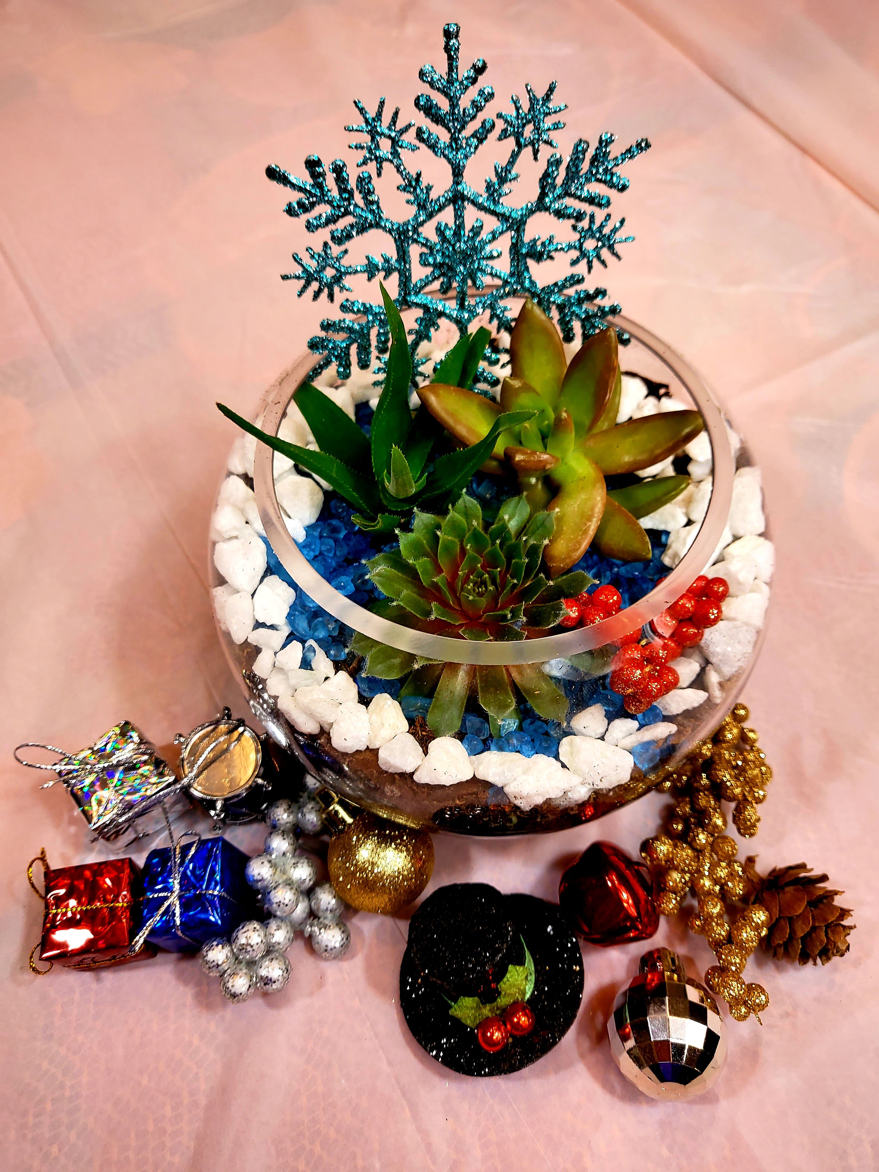 12/05/25 - Holiday Fun at Peticolas Brewery - Dallas! 7 p.m.