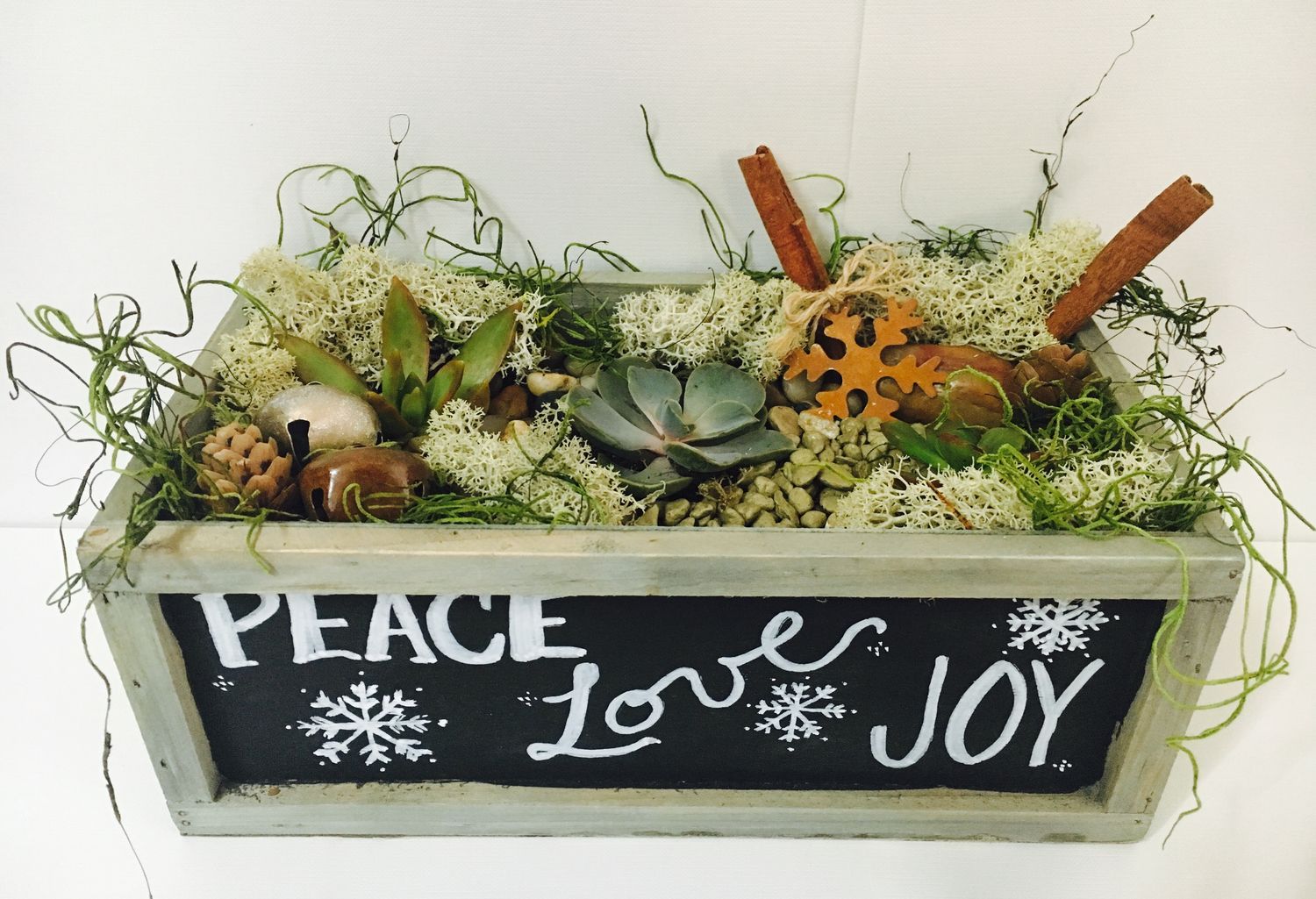 12/14/2025 - 2 p.m.  Holiday Terrarium at Fortunata Winery - Aubrey, TX!