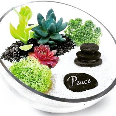 12/07/2025 Holiday Terrarium Fun at Tande Thai - The Colony, TX - 3 p.m.!