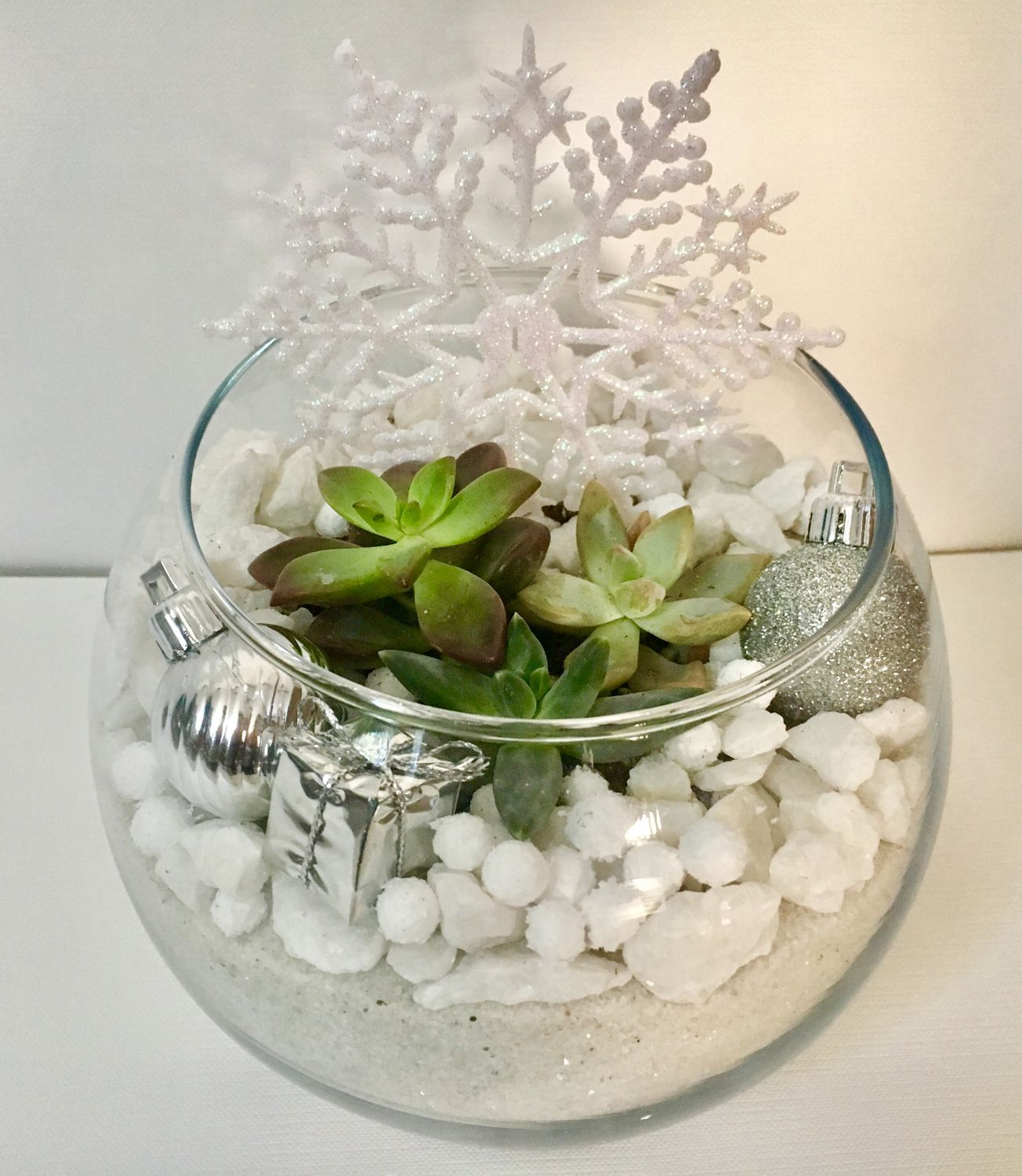 12/04/25 Winter Wreath Magic at Panther Island Brewing Fort Worth - 7 p.m.! 12/04/25 Winter Wreath Magic at Panther Island Brewing Fort Worth - 7 p.m.!