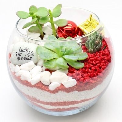12/10/25 - Holiday Succulent Terrarium at Monkey Bar on 9! 7 p.m.
