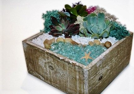 02/27/26 6:30 p.m. - Spring Succulent Terrarium Workshop ***PRIVATE EVENT FOR THE WINDSONG RANCH COMMUNITY RESIDENTS*** 02/27/26 6:30 p.m. - Spring Succulent Terrarium Workshop ***PRIVATE EVENT FOR THE WINDSONG RANCH COMMUNITY RESIDENTS***
