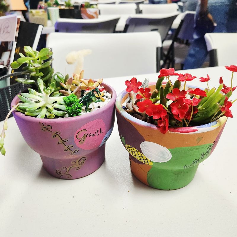 04/28/2026  Paint; Plant & Sip - Oak Highlands Brewery - Richardson!  7 p.m.