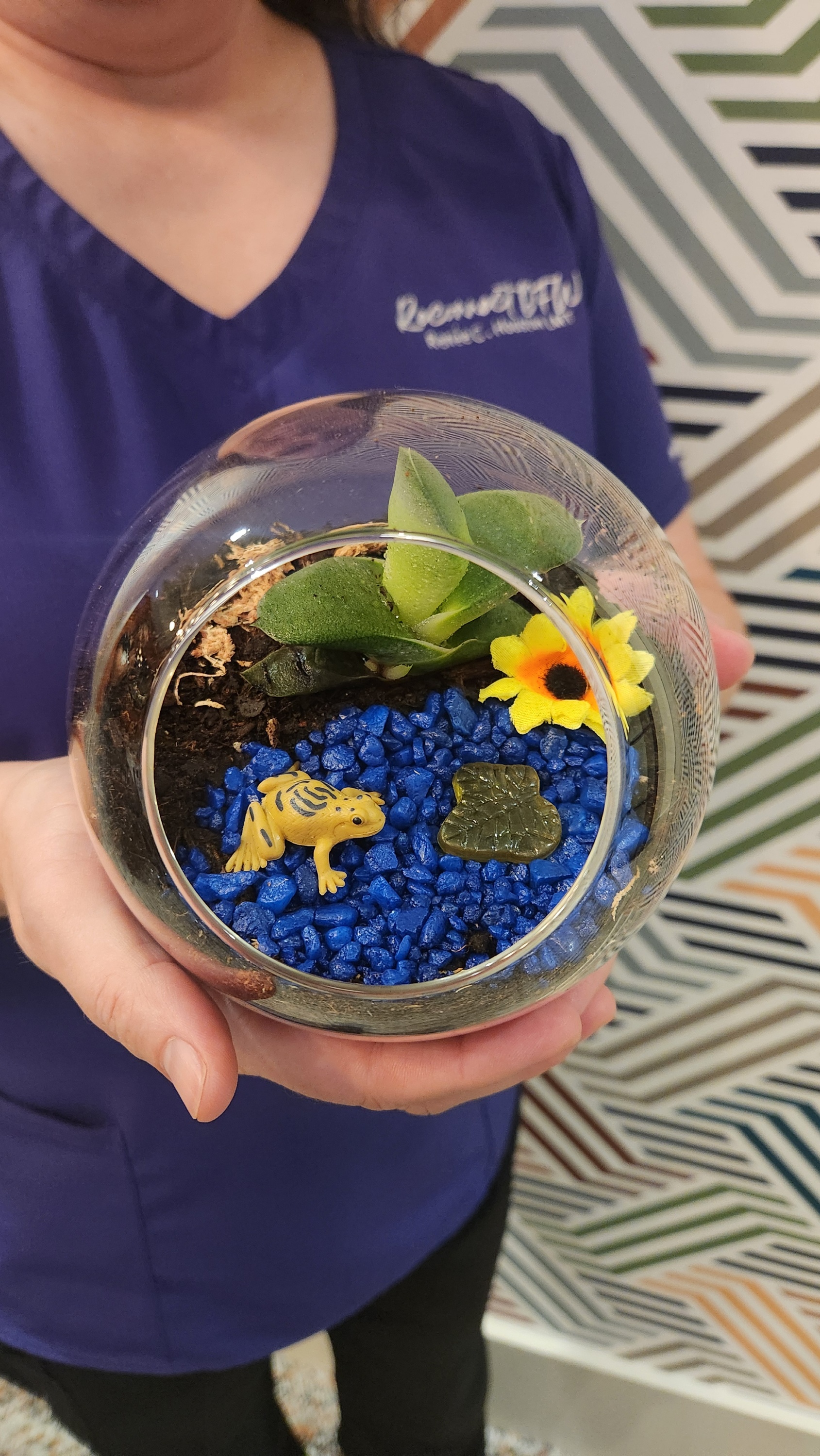 05/02/26 5:00 p.m. Succulent Fun Party - Allen, TX.