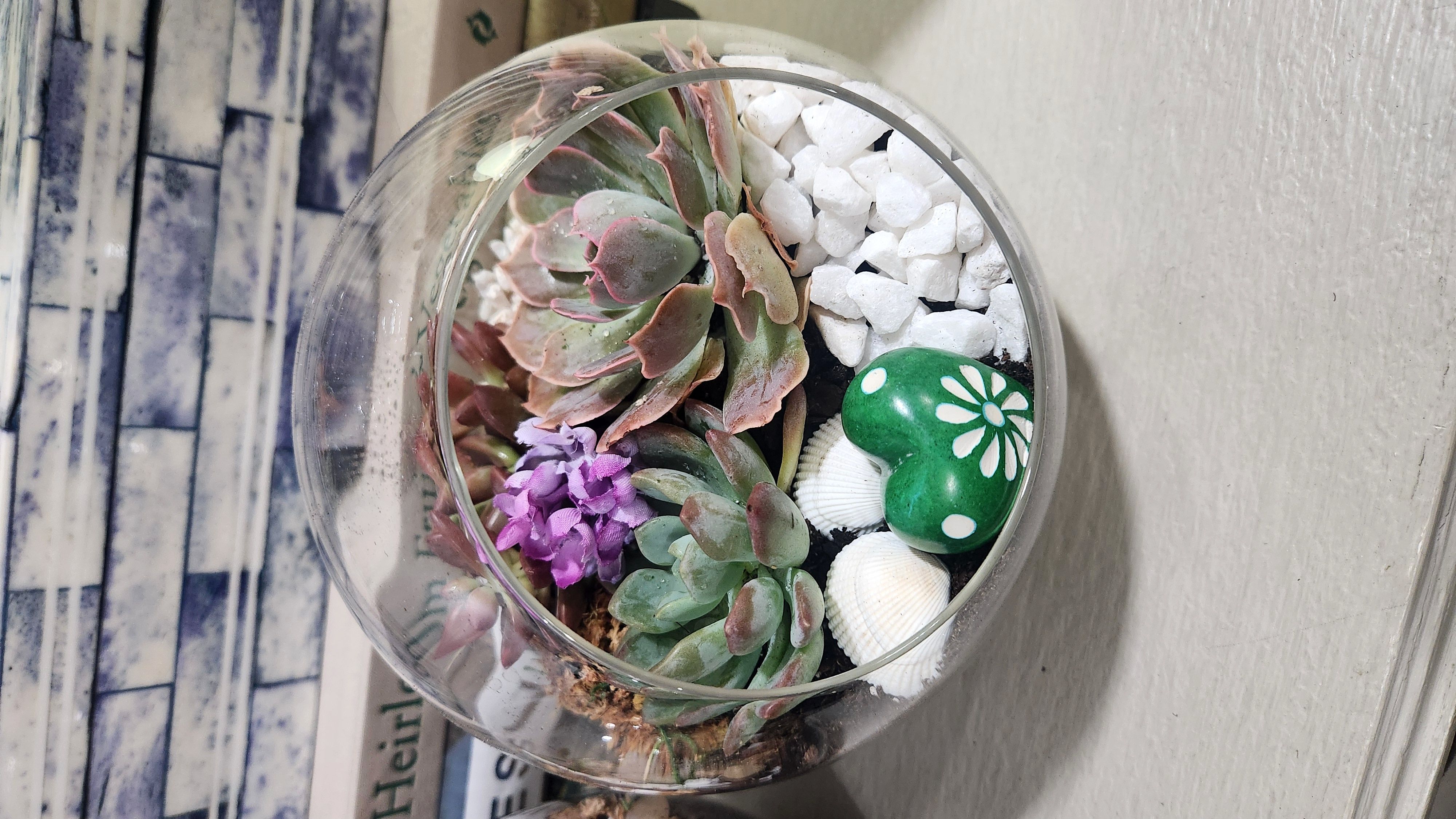 04/11/26 - April Brunch Succulent Fun at Hotel Vin's WineYard Grapevine - 11 a.m.