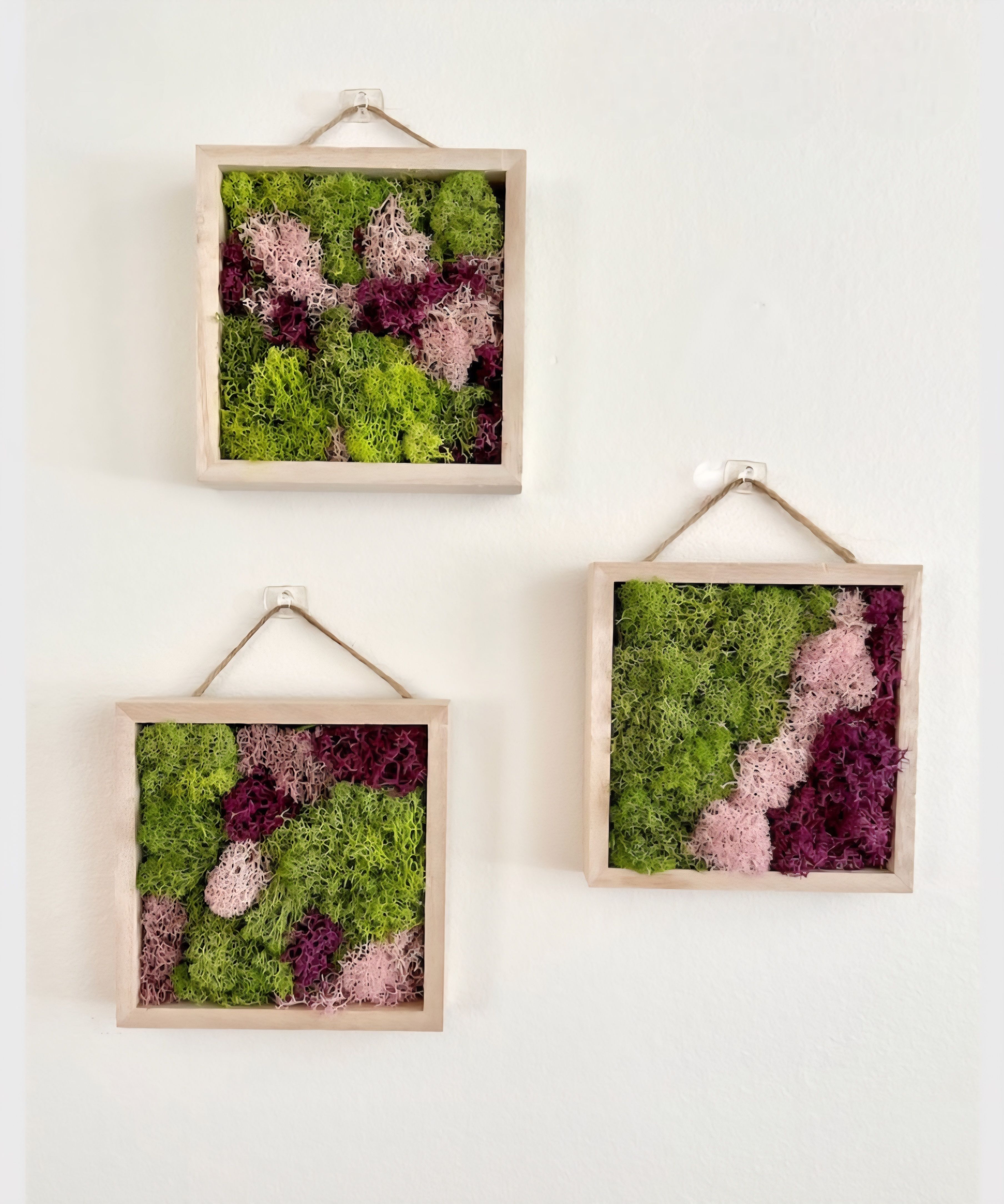 06/13/2026 Moss Wall at Hotel Vin's WineYard Grapevine - 11 a.m.!