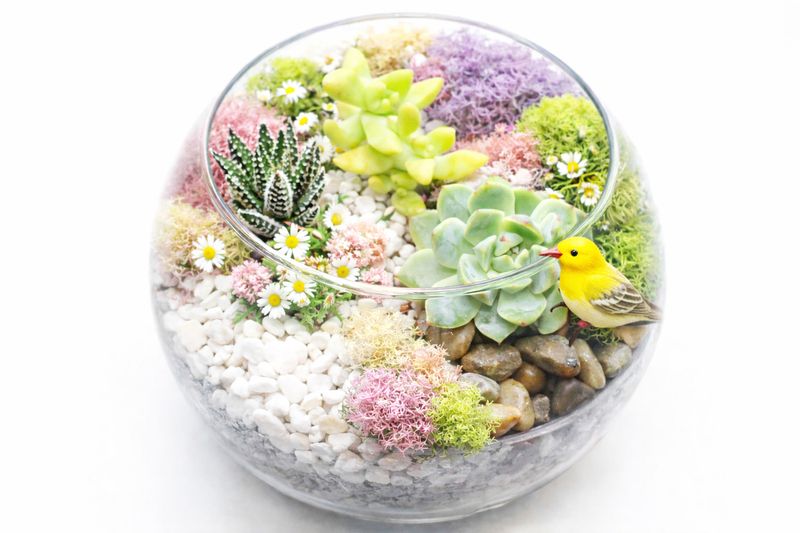 04/24/26 7 p.m.   Spring Succulent Fun  ***PRIVATE EVENT FOR THE NORTHSTAR COMMUNITY RESIDENTS***