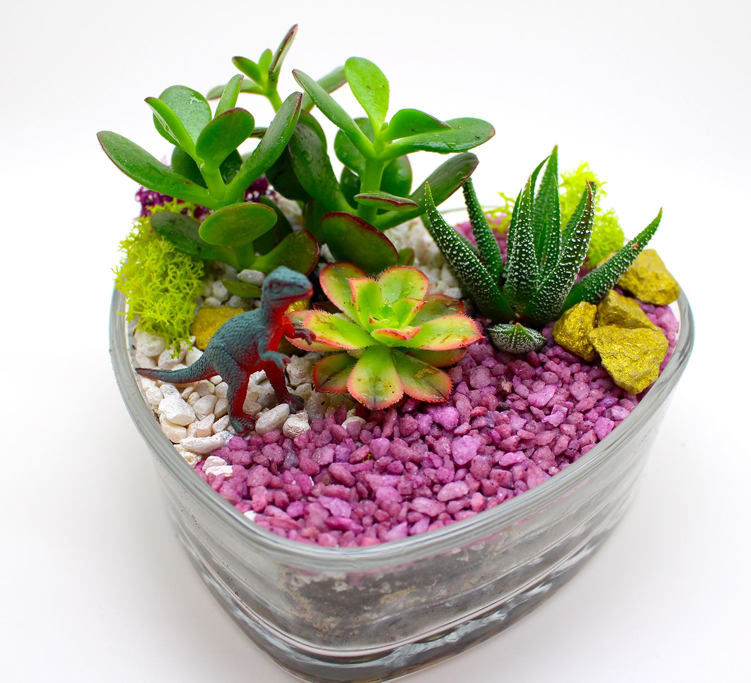 02/13/26  Valentine's / Galentine's Succulent Terrarium Fun at Palio's  Pizza Cafe - Crossroads! 7 p.m.