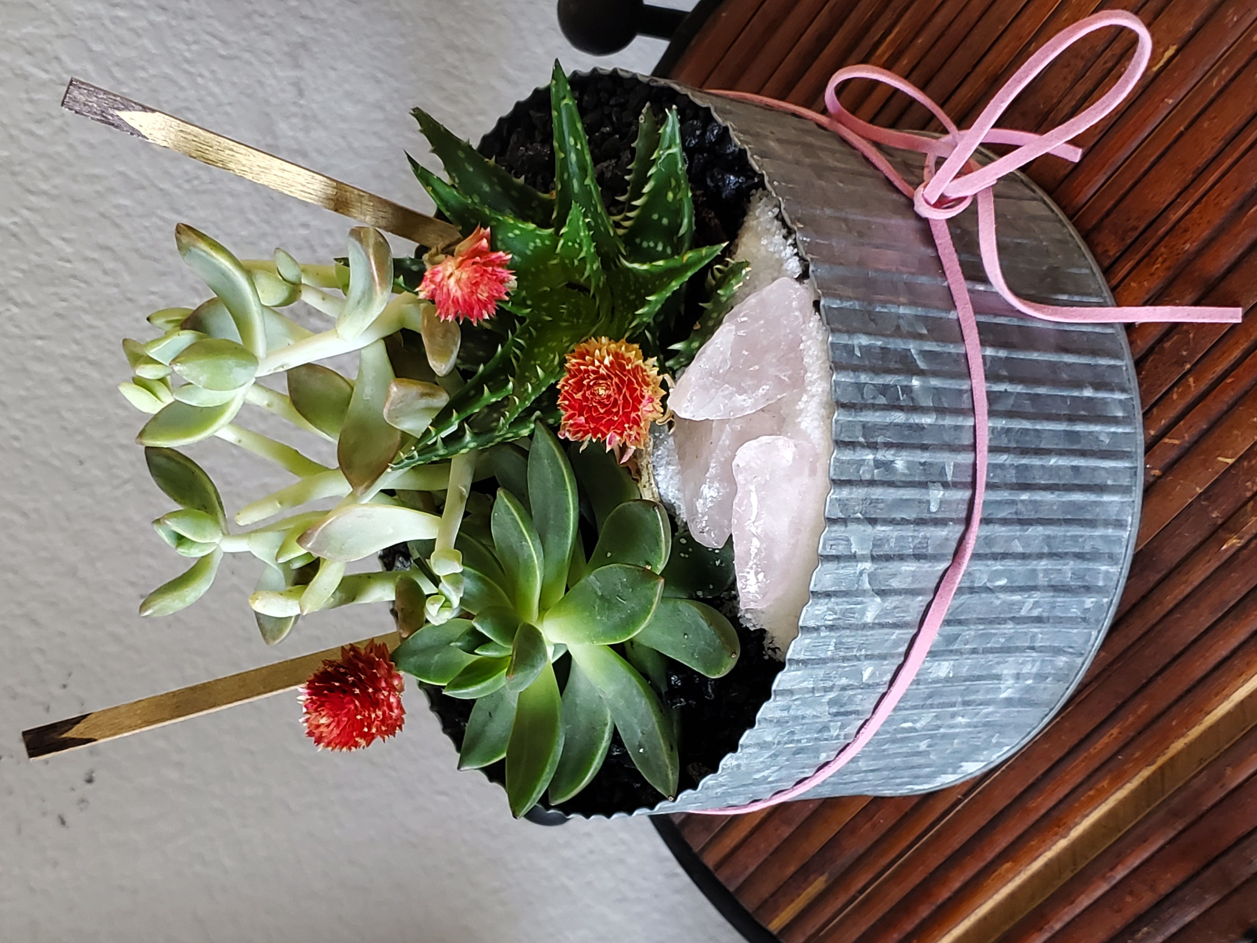 05/07/26  Mother's Day Succulent Terrarium at Oak Tree's Beer Garden - Aubrey! 7 p.m.