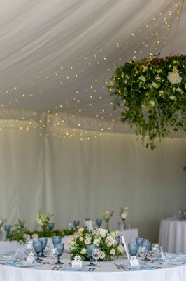 Fairylight canopy