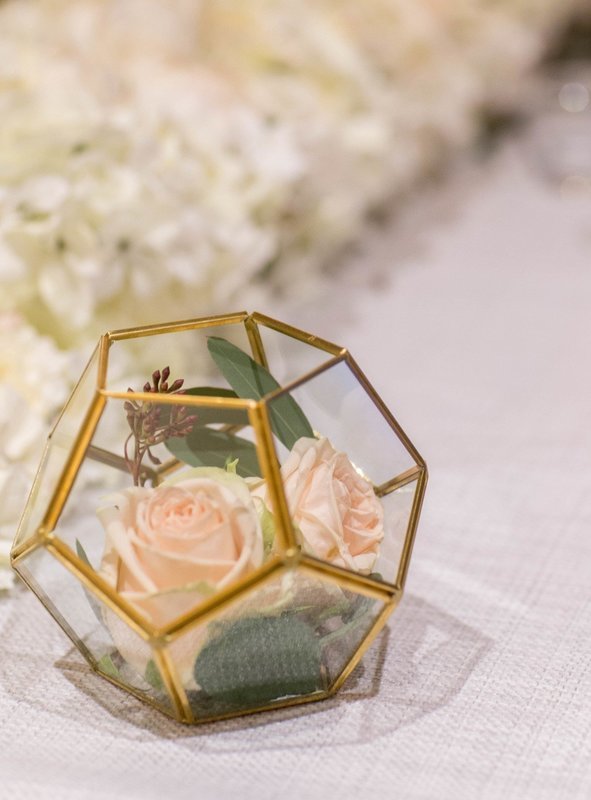 Terrariums - HEX