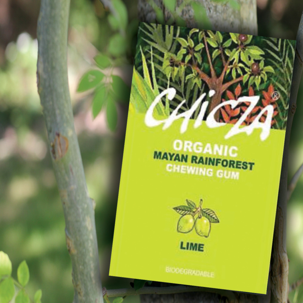 Chicza Organic Rainforest Chewing Gum - Lime
