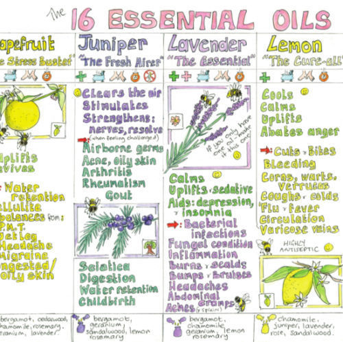 Essential oils guide Aromatherapist Wall Chart