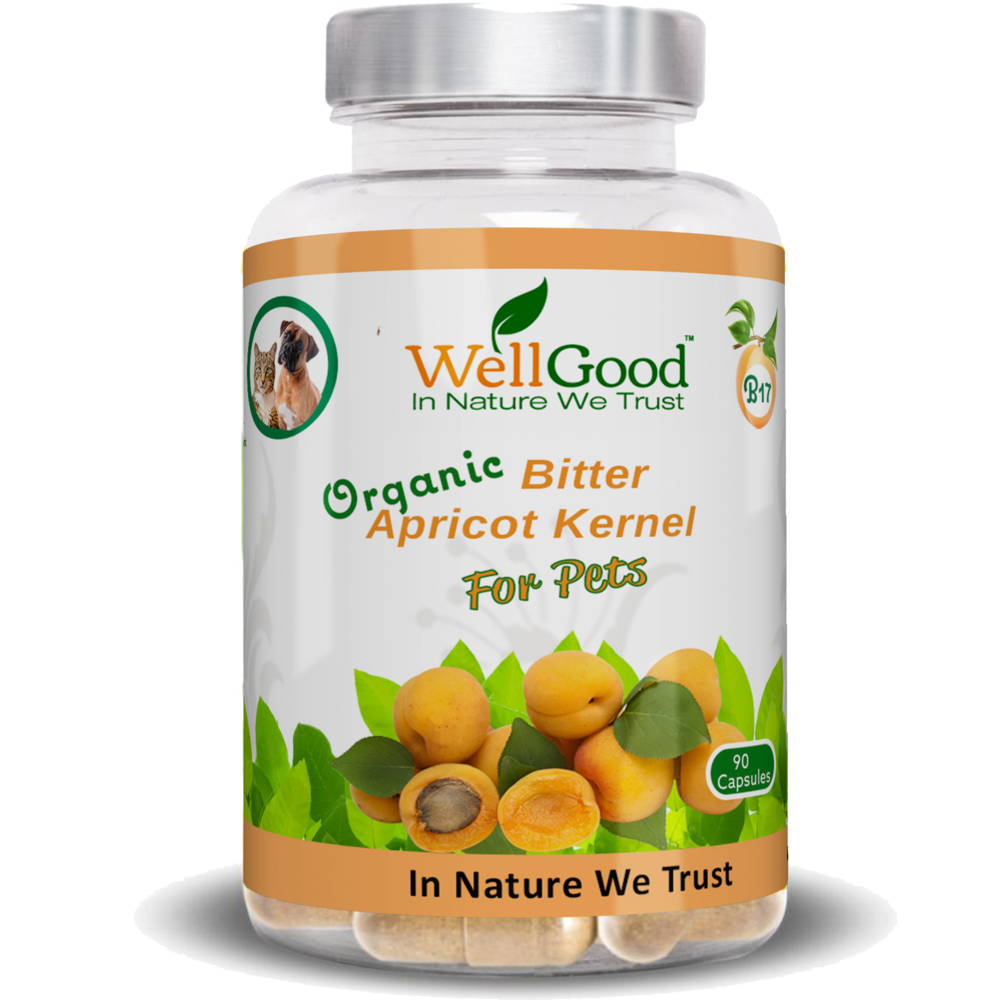 Organic Bitter Apricot Kernels Seed capsules for pets 