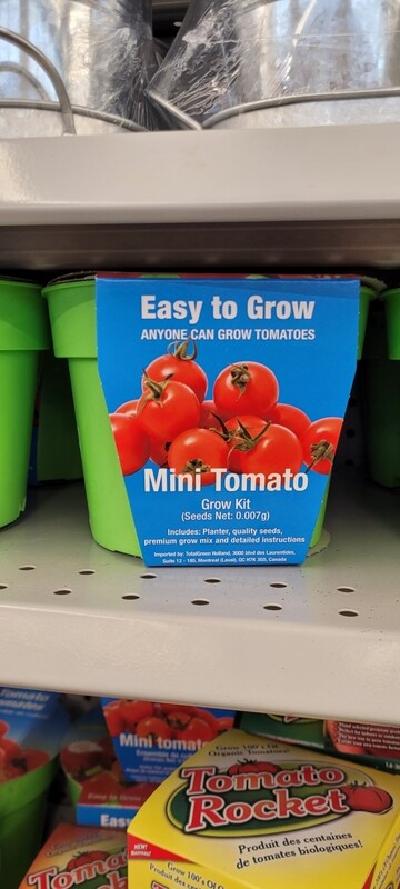 Easy to grow tomato pot