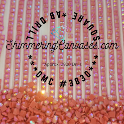 Square AB Drills DMC #3830-Terra Cotta Square AB Drills DMC #3830-Terra Cotta