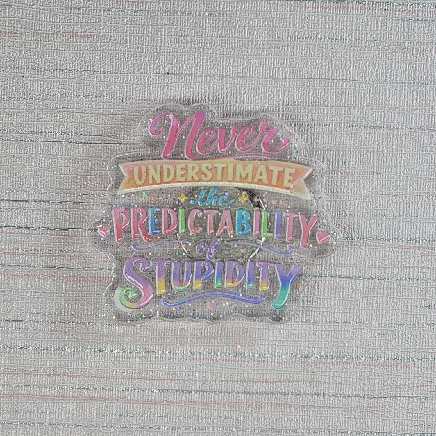 Cover Minder "Never Underestimate the predictability of Stupidity"