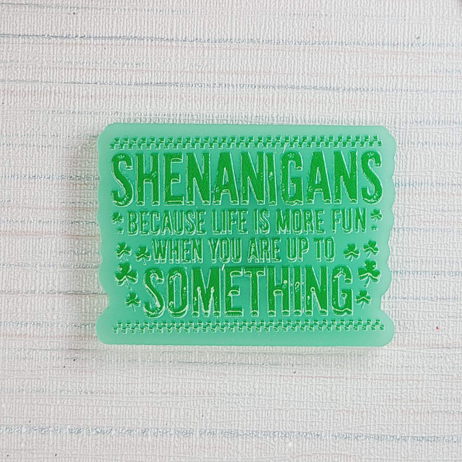 Cover Minder "Shenanigans, Cause life is more fun when you're up to something"