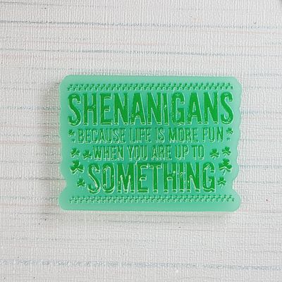 Cover Minder "Shenanigans, Cause life is more fun when you're up to something"
