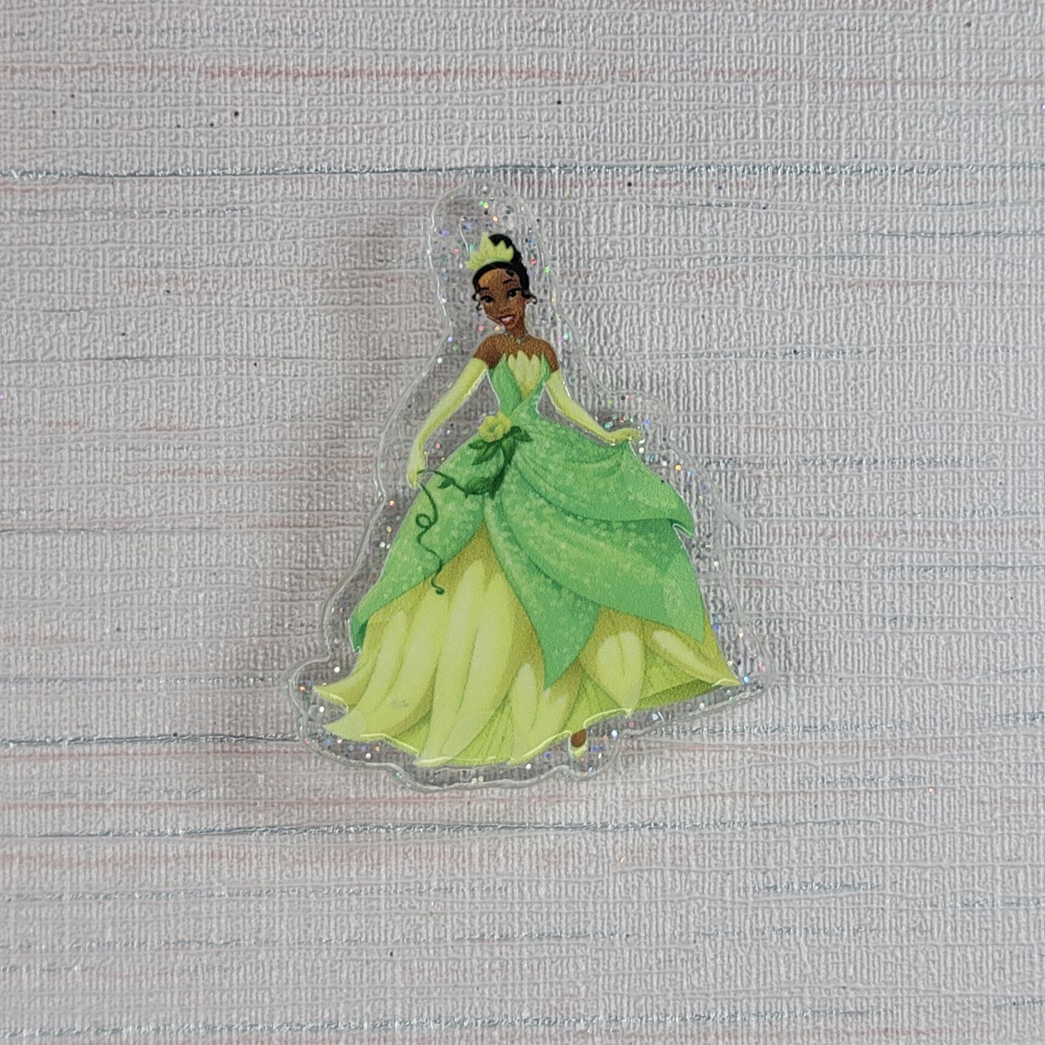 Cover Minder "The Princess and the Frog"