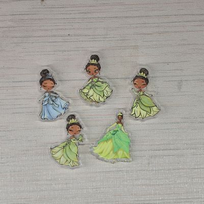 Cover Minder "The Princess and the Frog"