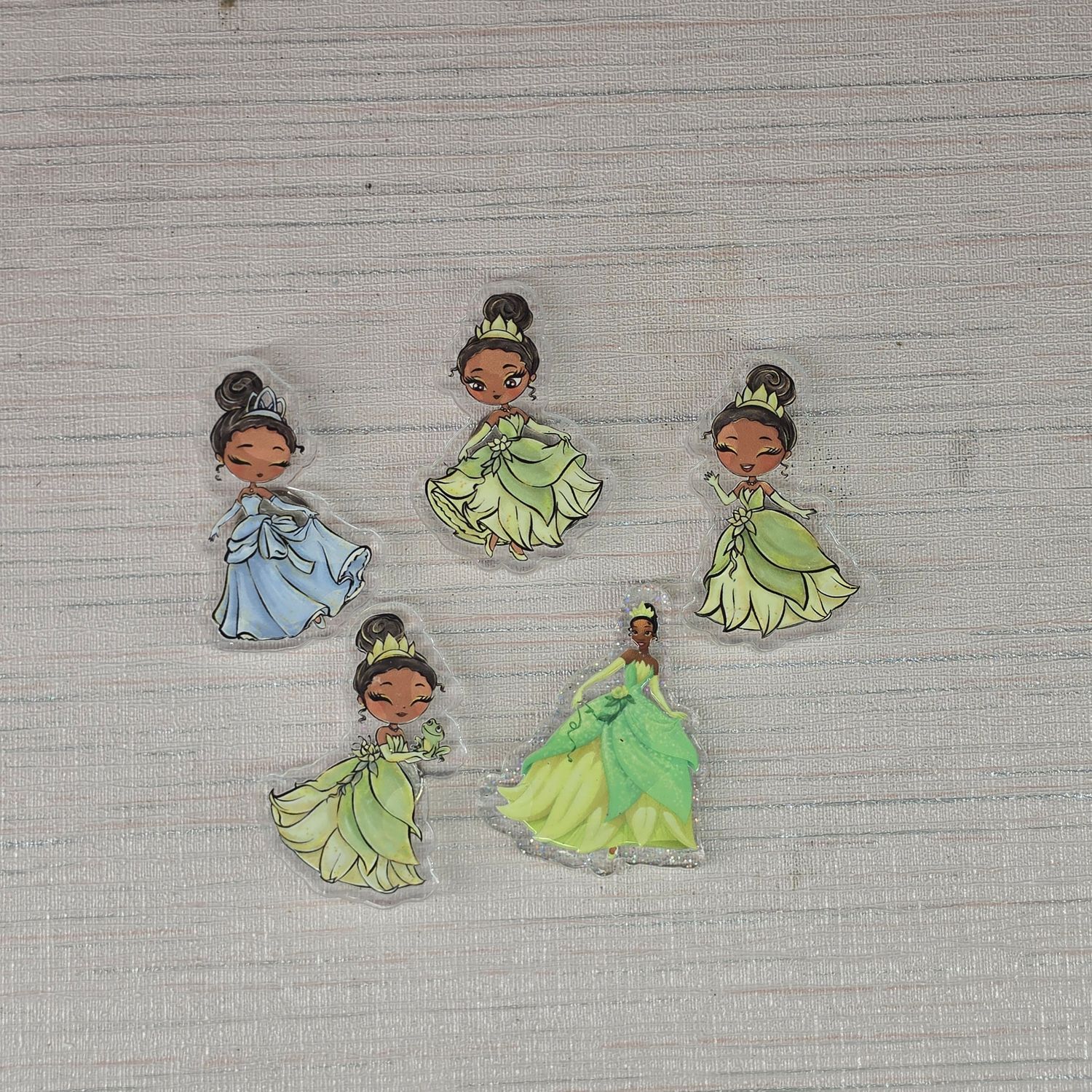 Cover Minder "The Princess and the Frog"