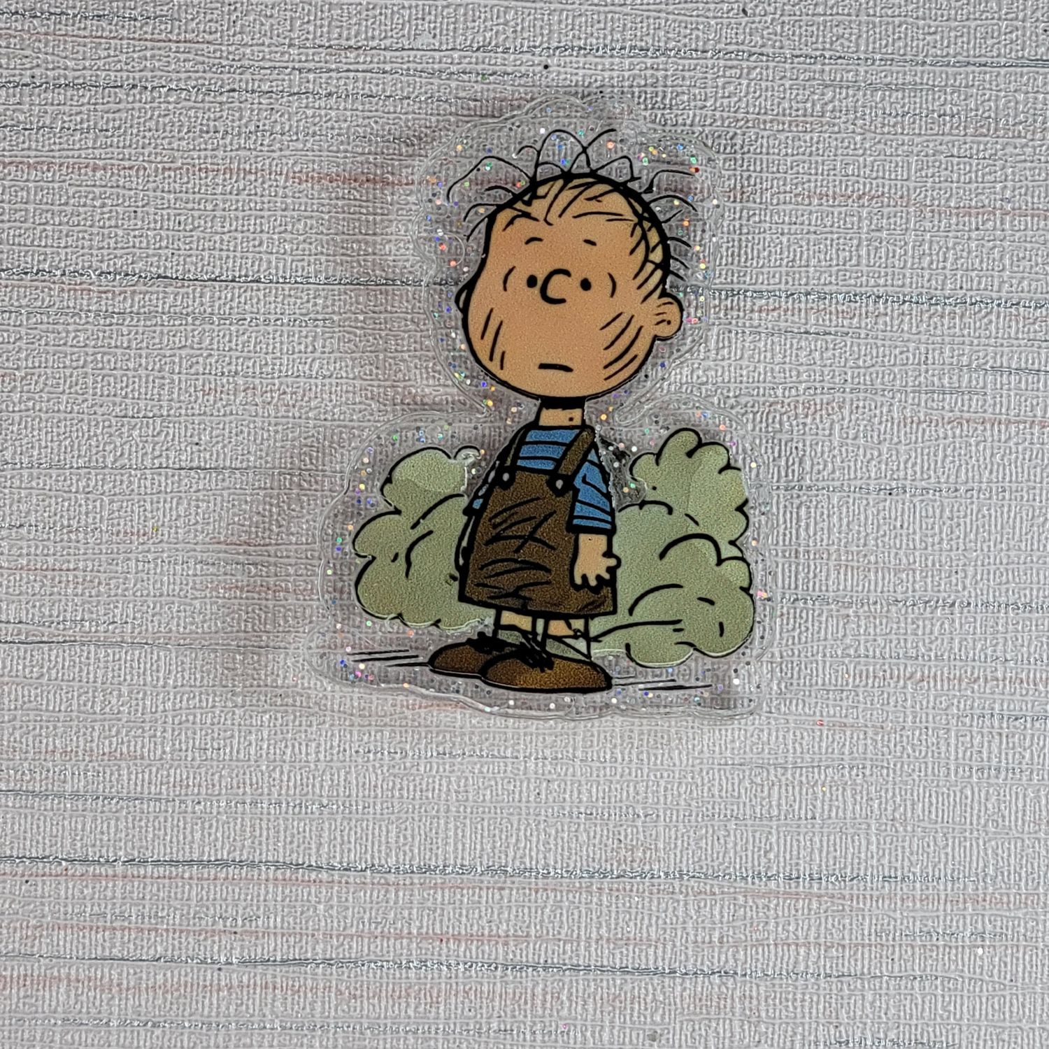 Cover Minder Charlie Brown