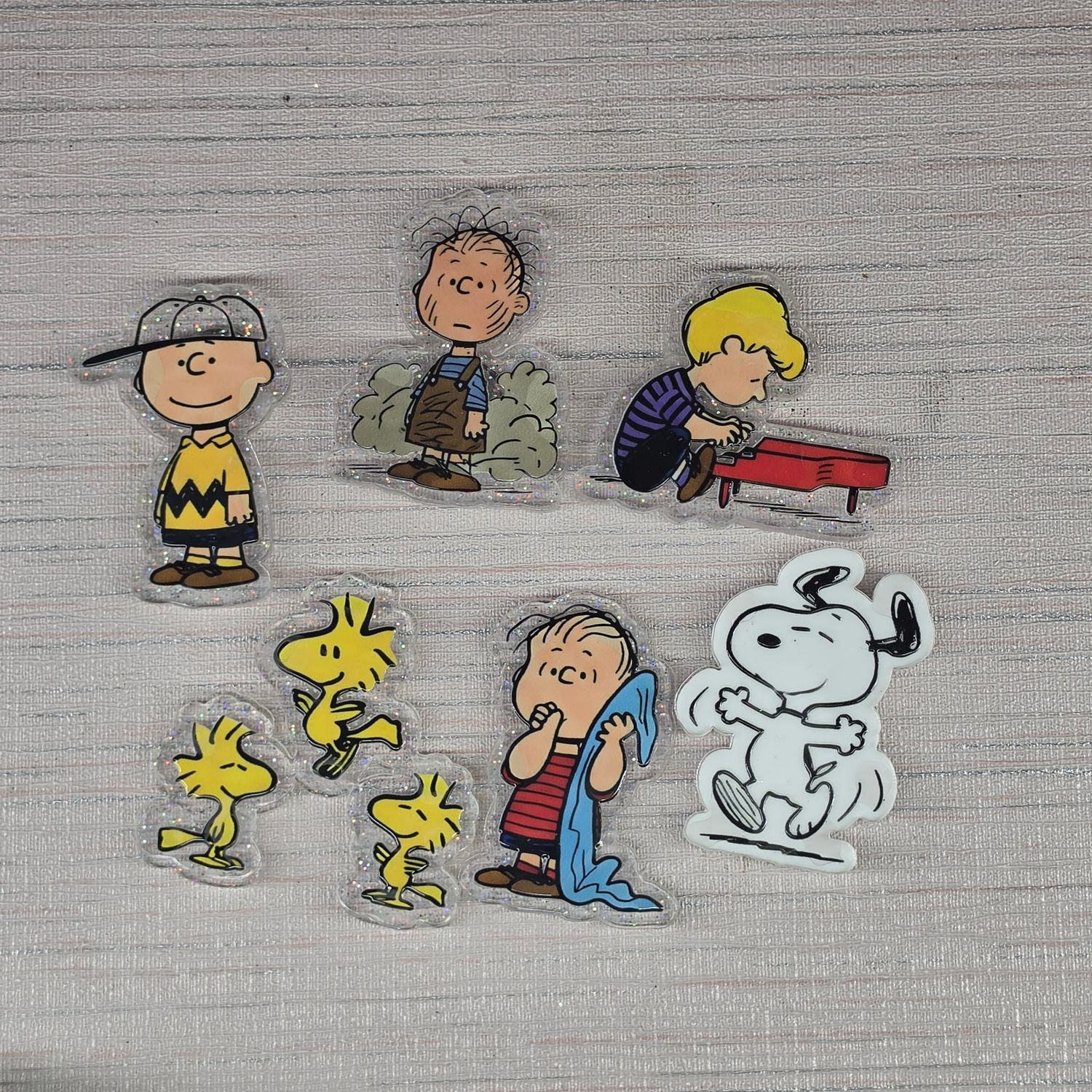Cover Minder Charlie Brown