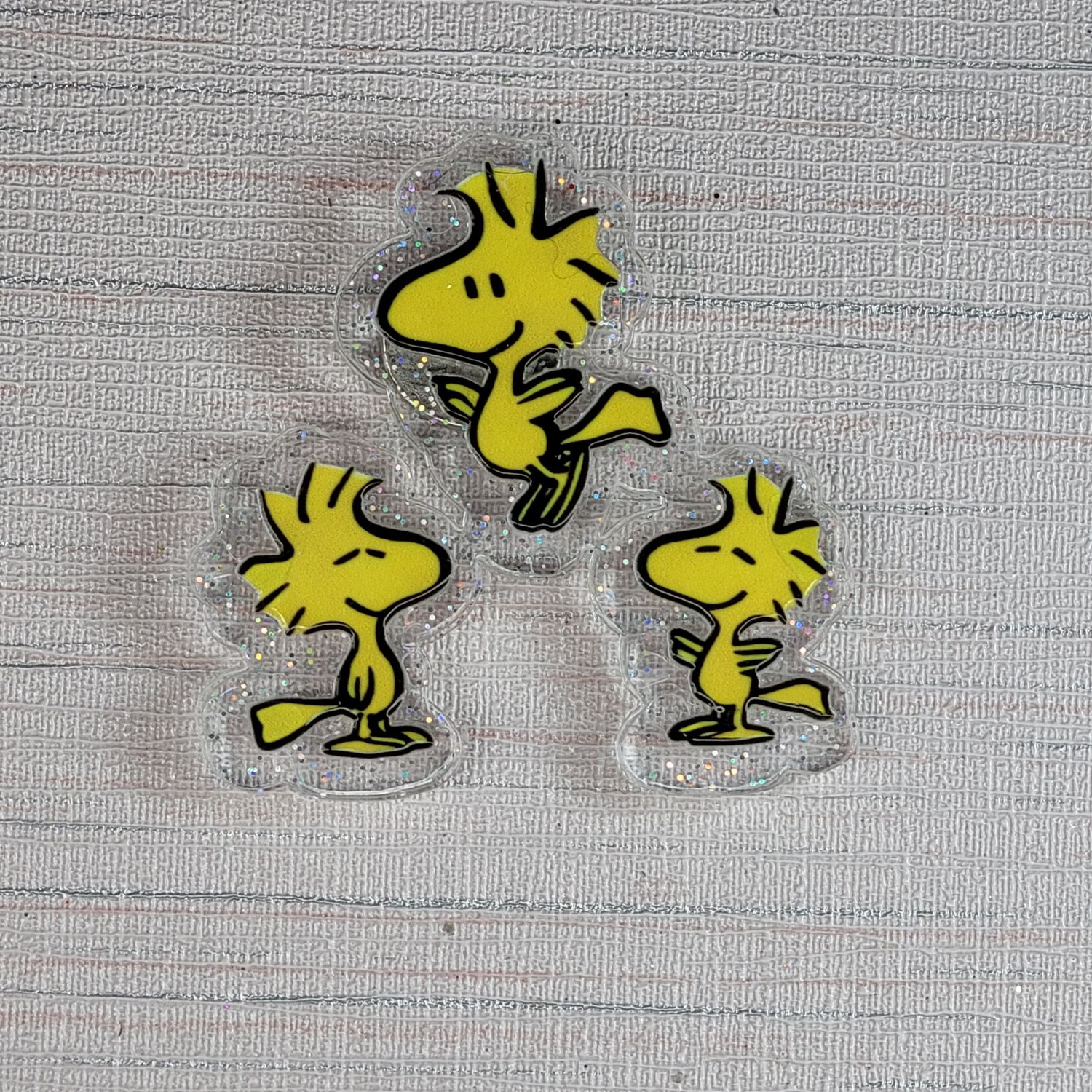 Cover Minder Charlie Brown