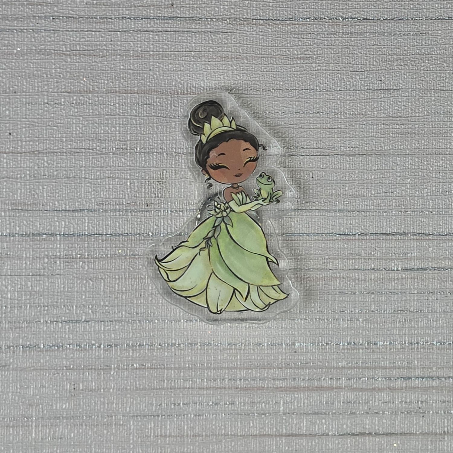 Cover Minder "The Princess and the Frog"