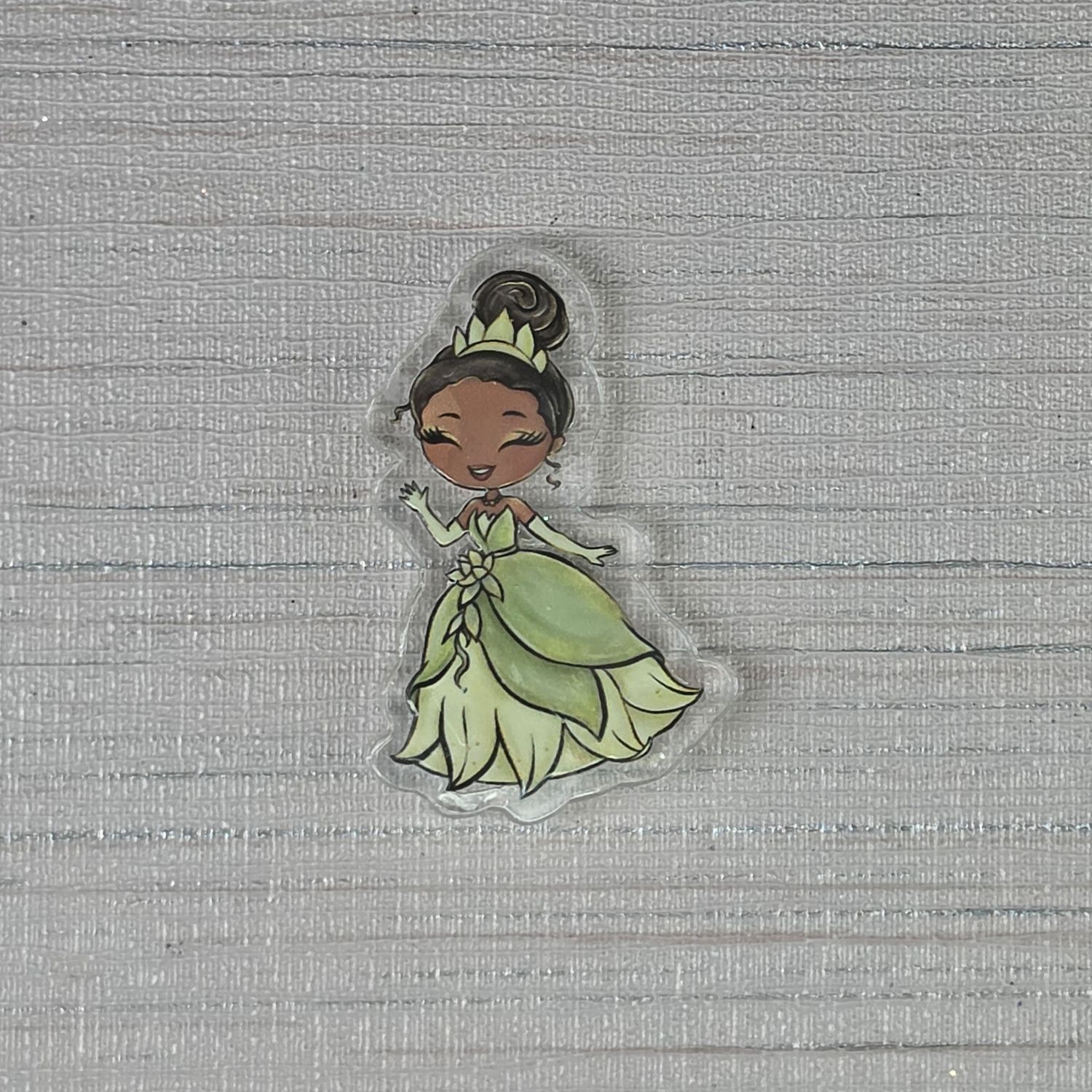 Cover Minder "The Princess and the Frog"