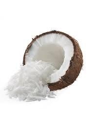 COCO RALLADO PREMIUM