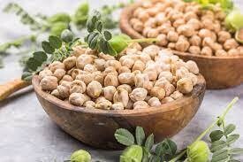GARBANZO