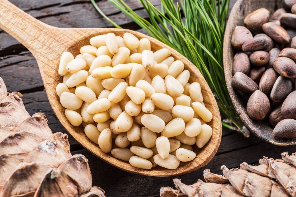 PIÑON BLANCO