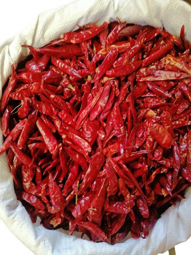 CHILE DE ARBOL