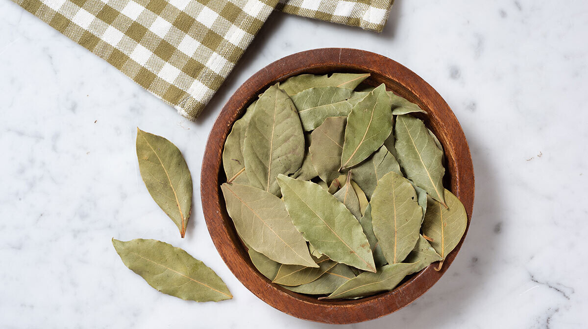 HOJA DE LAUREL SECA