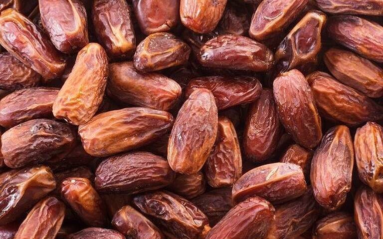DATIL MEDJOL