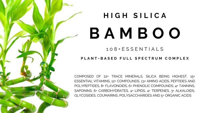 Bamboo Daily Moisture | 108+ Essentials