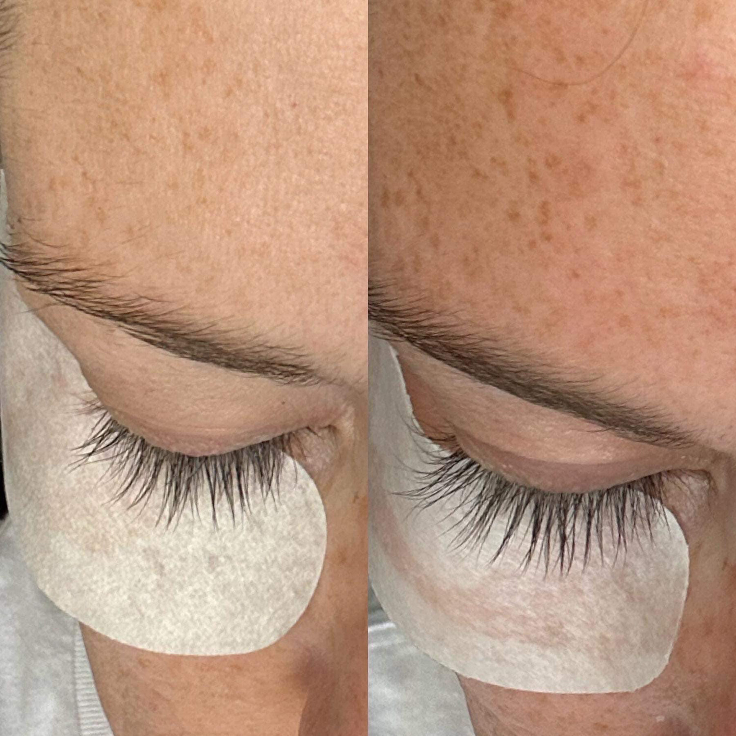 Lash + Brow Serum