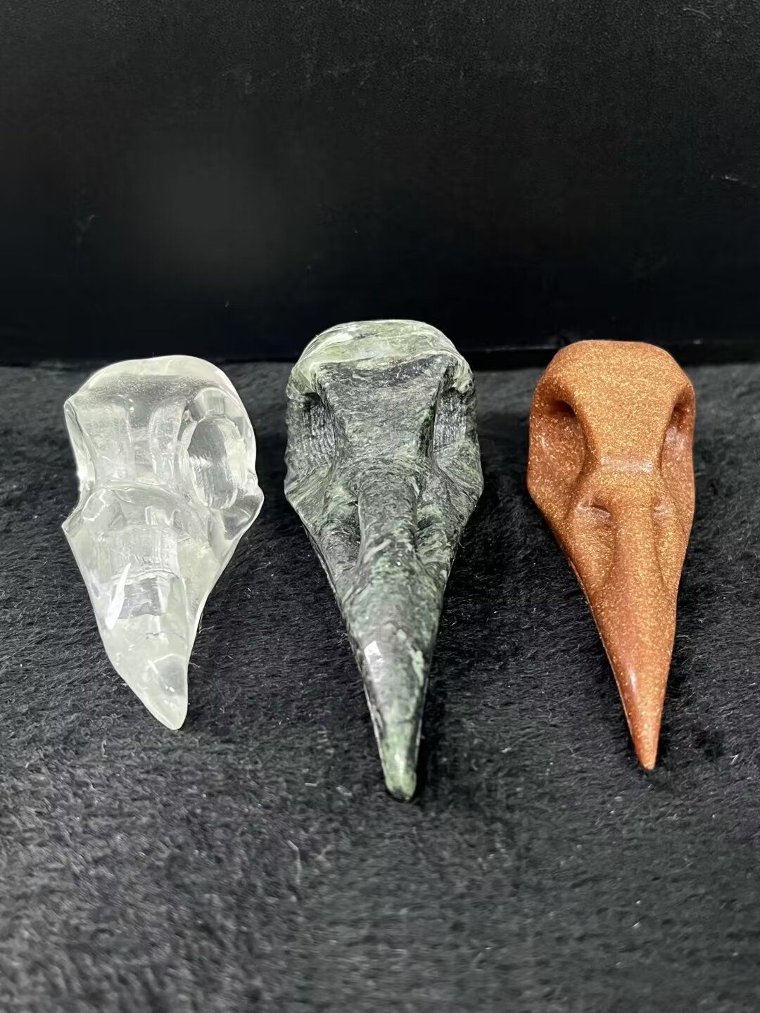 Bird Skull