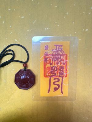 Zhusha Zhaoyun Bagua 003