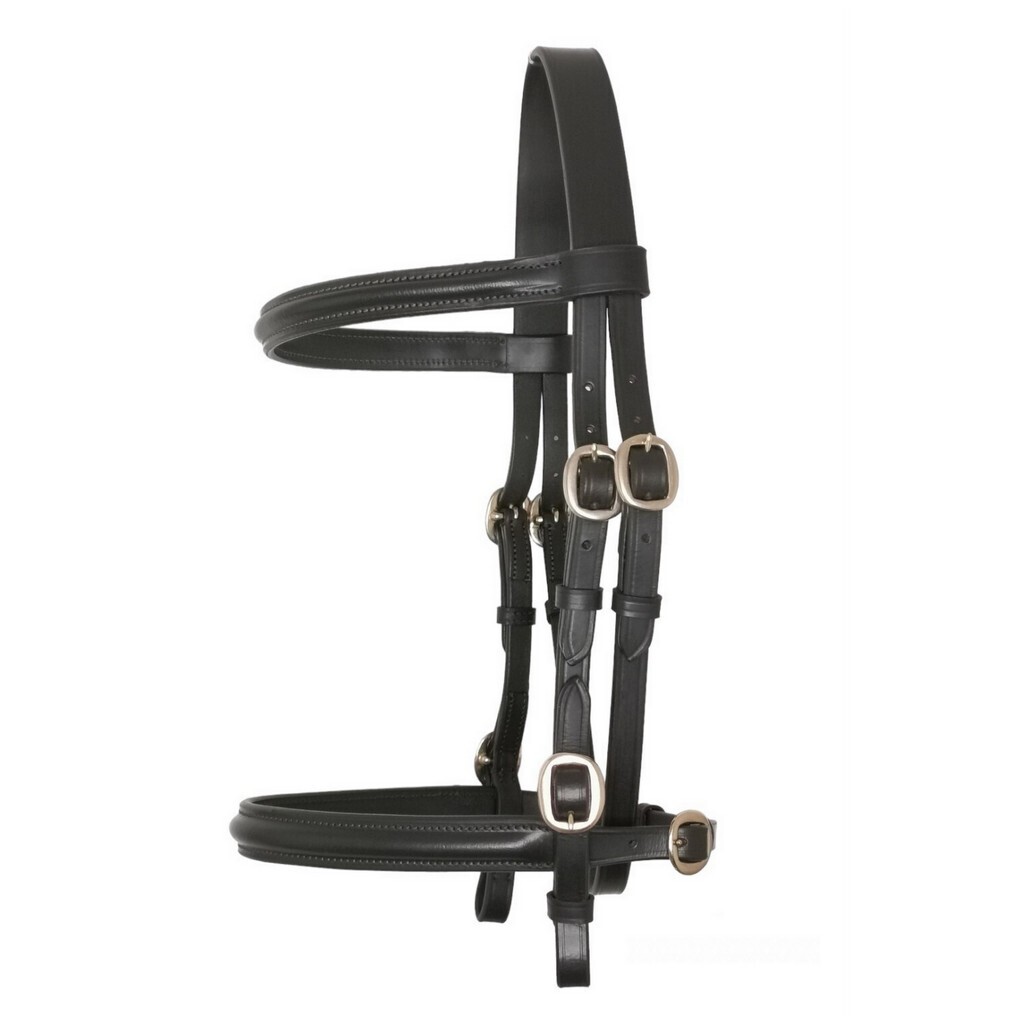 In-Hand show bridle Raised- HAVANA Brown - SMALL PONY